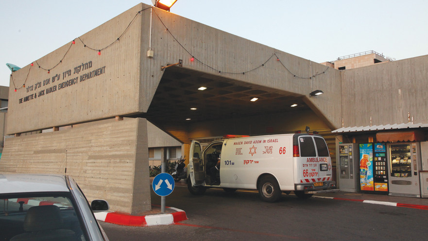 בית החולים שיבא, תל השומר