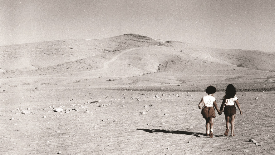 דימונה טוויסט