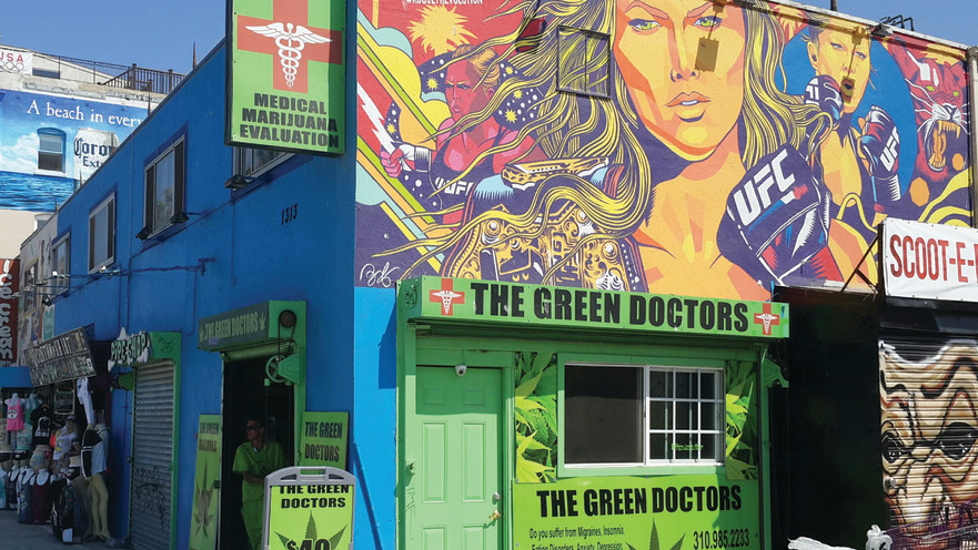 "גרין דוקטורס"