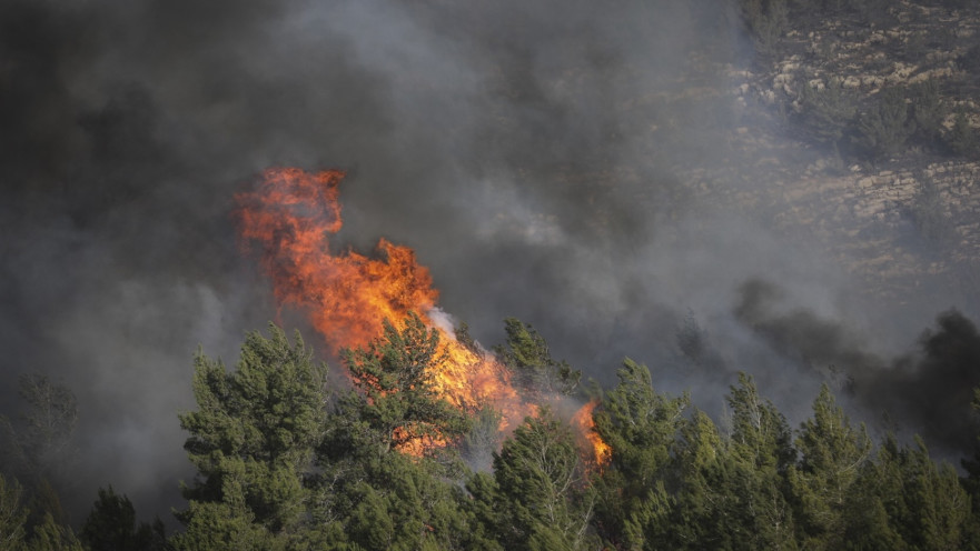 שריפה בחיפה