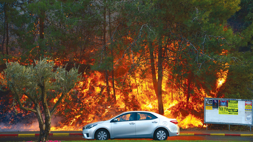 השריפה בחיפה