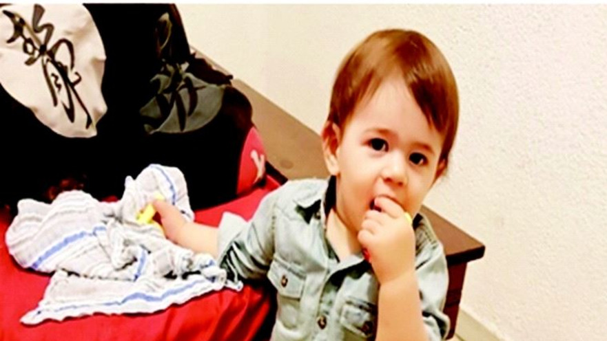 אלייה ווינגוט ז"ל