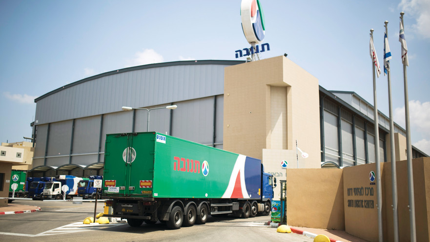 תנובה