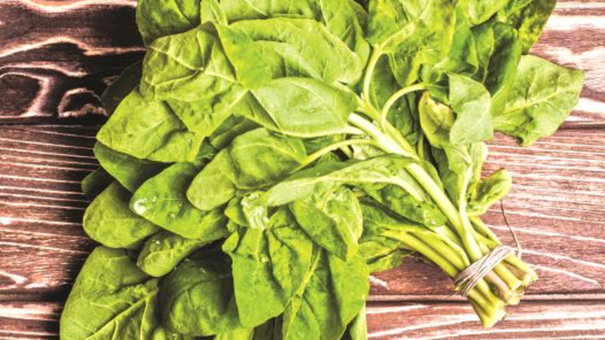 תרד, אילוסטרציה