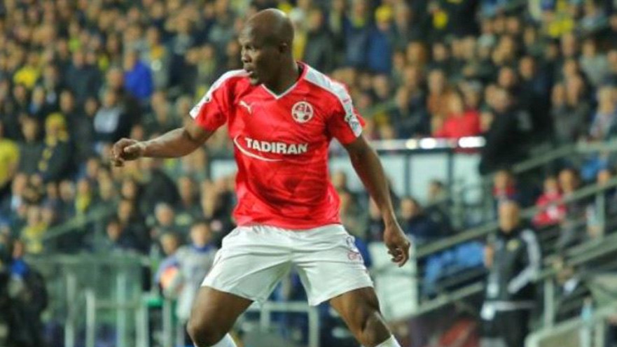 טוני וואקמה