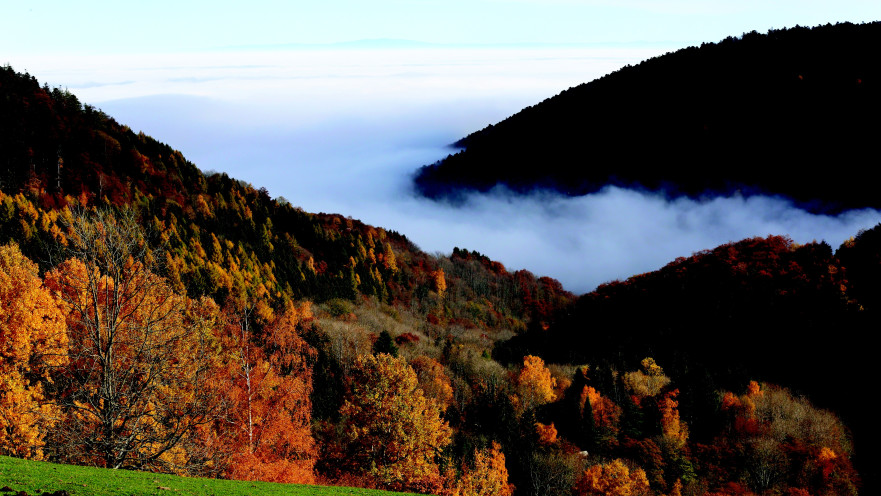 חבל אלזס בצרפת