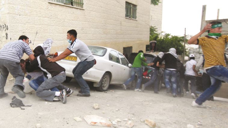 מסתערבים בקלנדיה, 2011