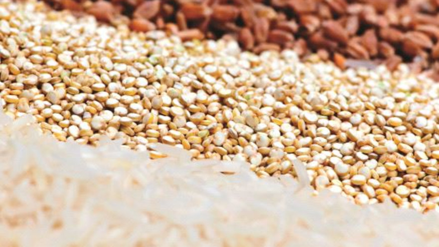 דגנים, אילוסטרציה