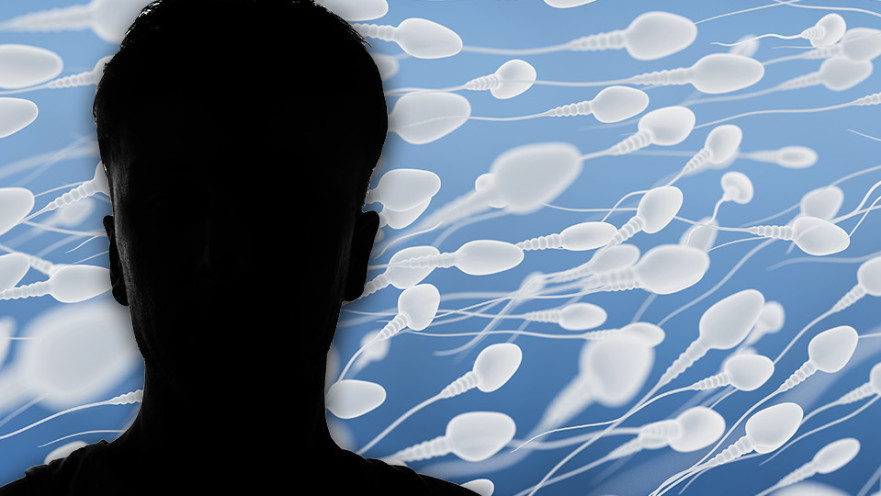 תורם זרע, אילוסטרציה