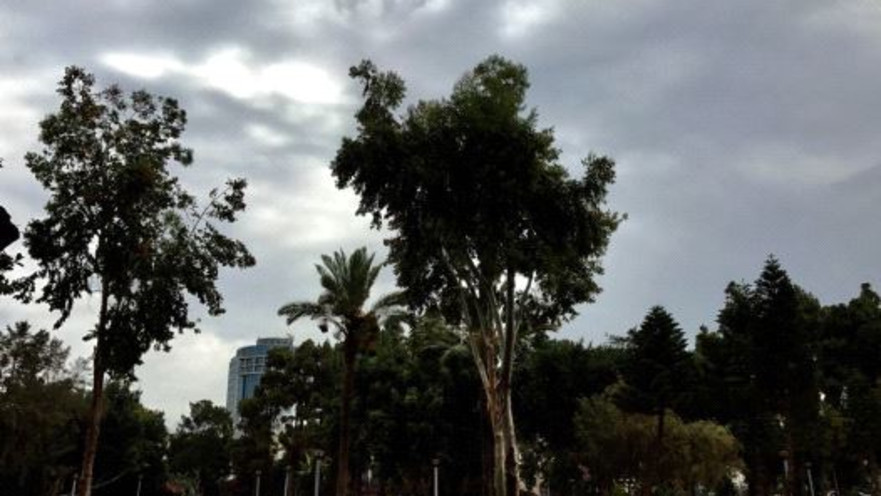 מזג אוויר סתווי 