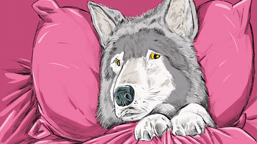 מרסל מוסרי, איור