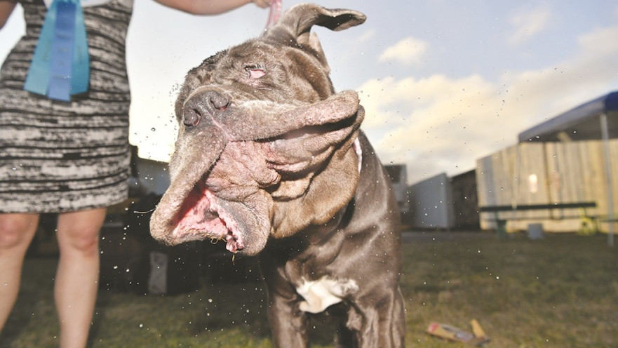 שוקלת 56 קילוגרם