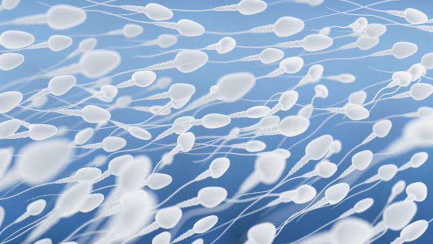 ספירת זרע נמוכה
