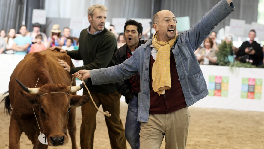 "הפרה ז'קלין"