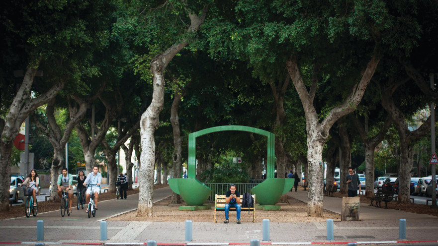 עצי פיקוס בשדרות רוטשילד בתל אביב