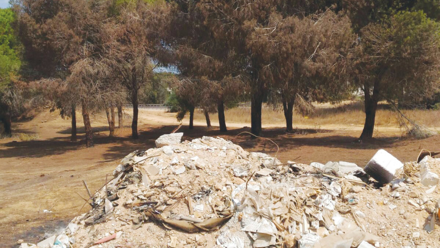 פסולת בניין ביער 