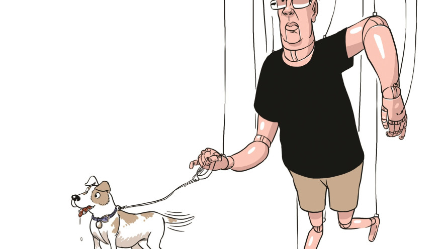 רון קופמן - איור