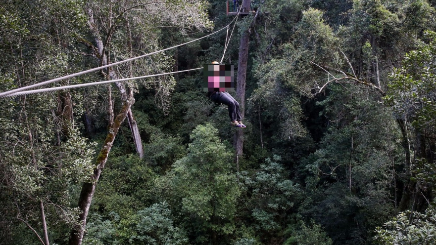 אומגה, צילום ארכיון