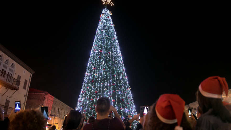 עץ חג מולד ביפו