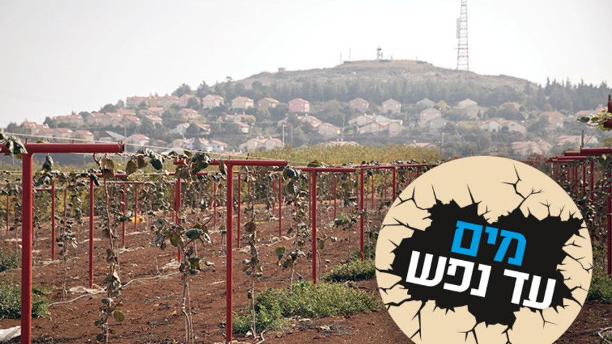 שטח חקלאי בסמוך למטולה