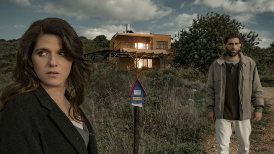 להעיר את הדב, נועה קולר