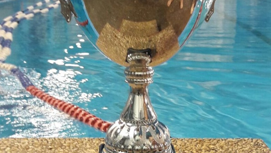 גביע המדינה בכדורמים