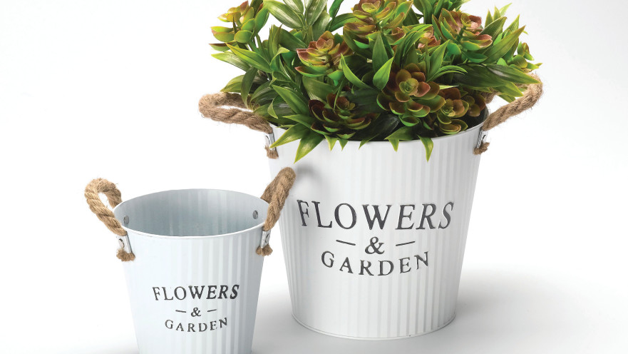 דליי פח לבנים, רשת H&O