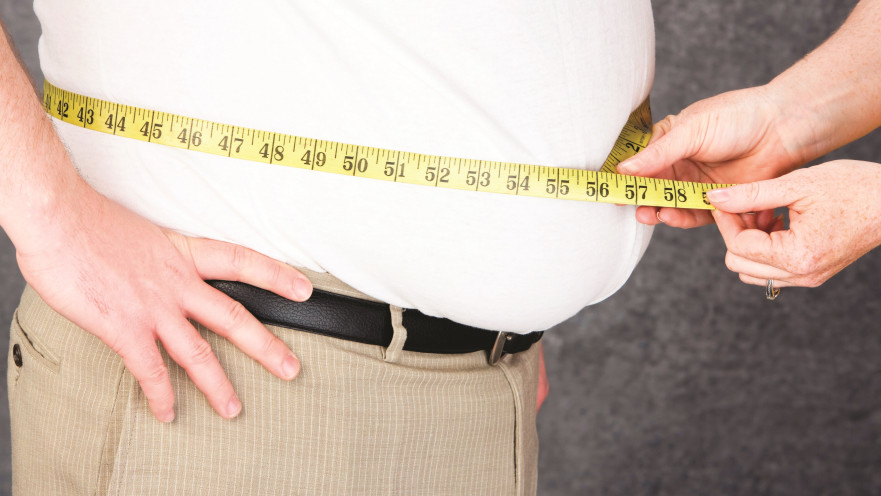 שומן בטני, אילוסטרציה