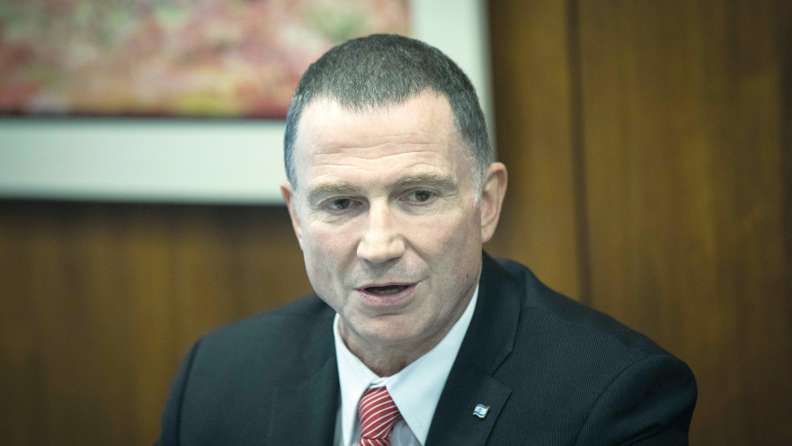 יולי אדלשטיין 