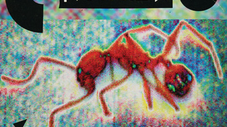 עטיפת האלבום "זמן סוכר"