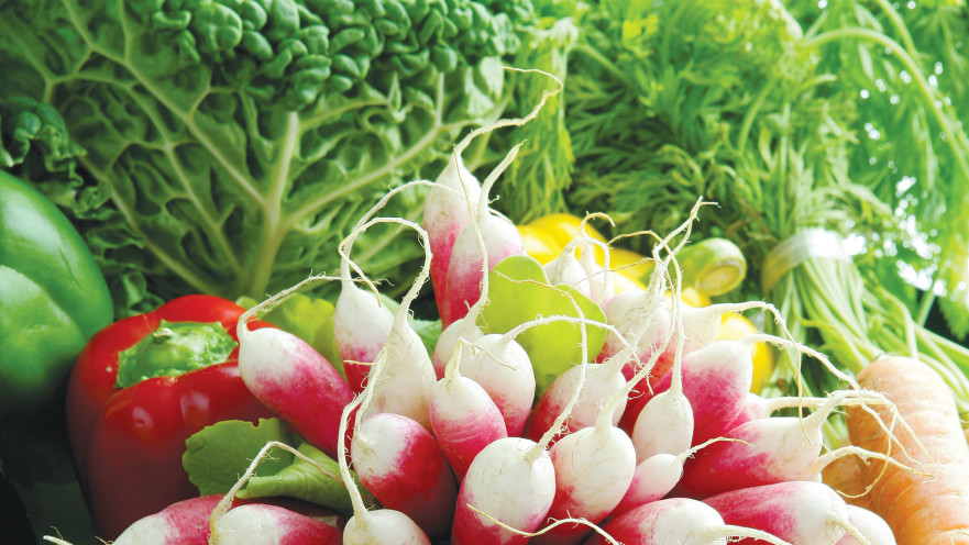 ירקות אורגניים, אילוסטרציה