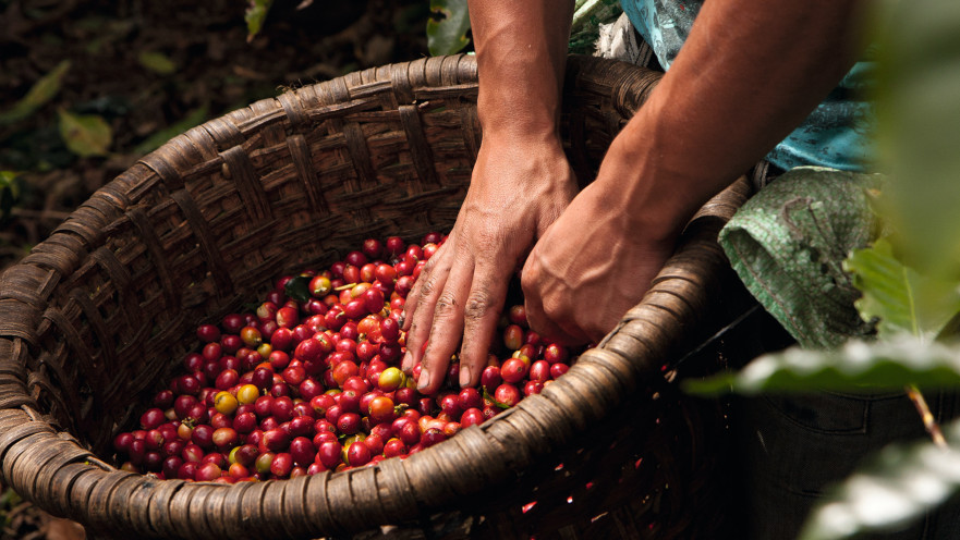 חפשו תערובות ממקורות איכותיים וזכרו מה אהבתם
