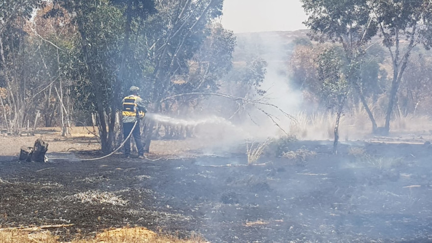 שריפות בדרום 