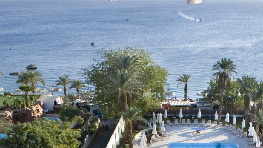 רשת מלונות רימונים