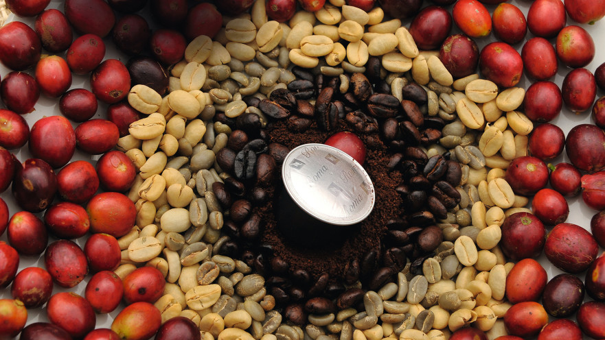 ככל שטמפרטורת הקלייה גבוהה יותר, המרירות עולה והחמיצות יורדת