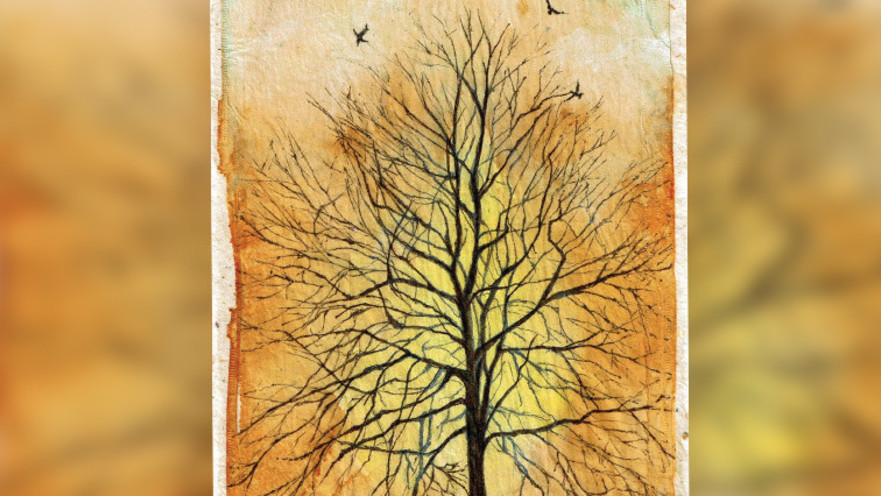 איור, מיברג