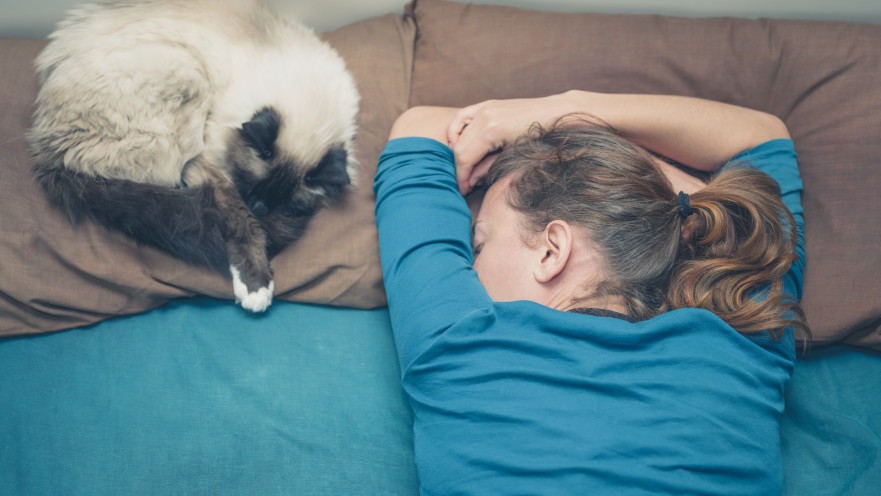 העצלנות משתלמת