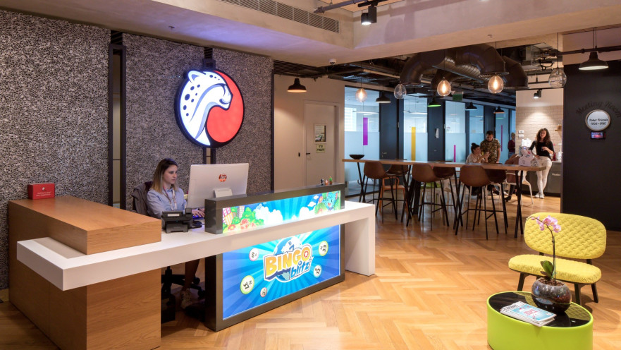 משרדי פלייטיקה