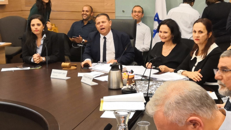 זילבר ושקד בדיון בכנסת 