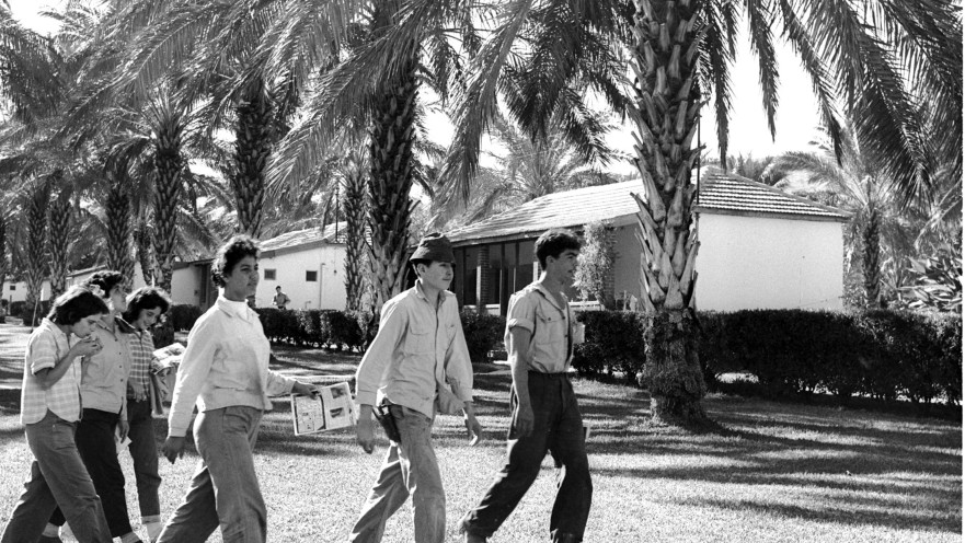 קיבוץ כינרת, 1959