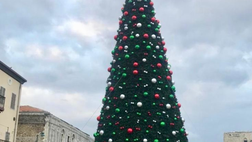 עץ אשוח, אילוסטרציה