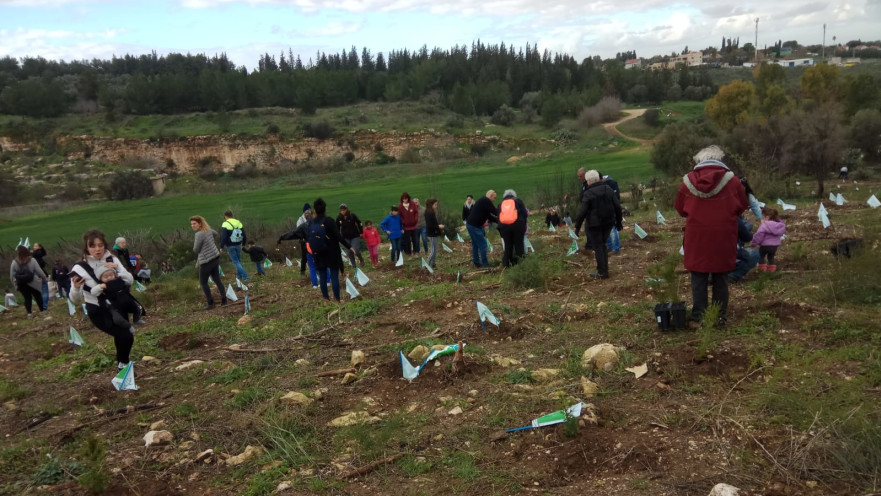 נטיעות ט"ו בשבט
