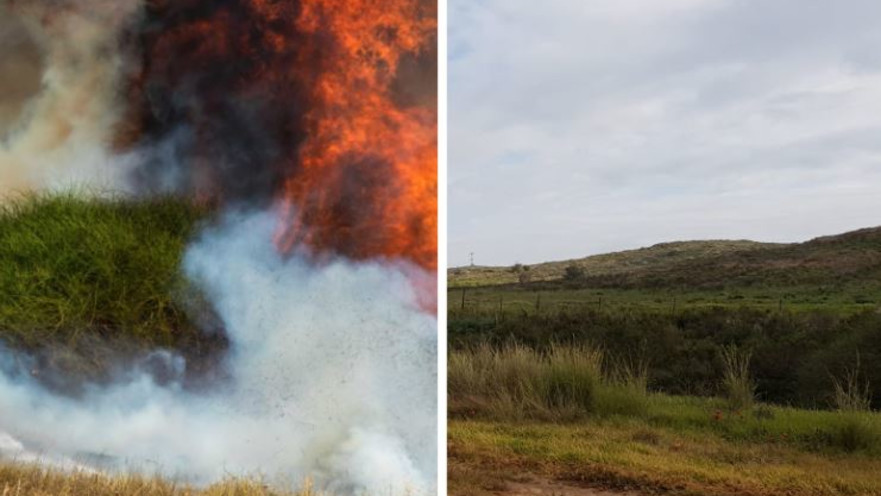 עוטף עזה לפני ואחרי