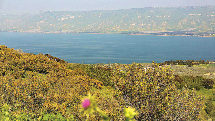 המועצה האזורית עמק הירדן