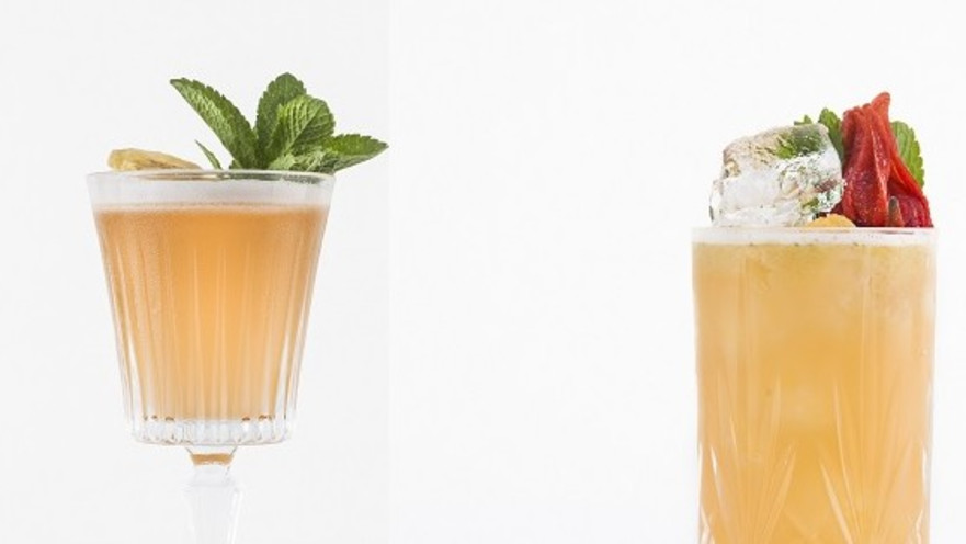 קוקטיילים לפסח