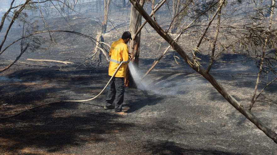 שריפה שפרצה בעוטף עזה כתוצאה מבלון תבערה