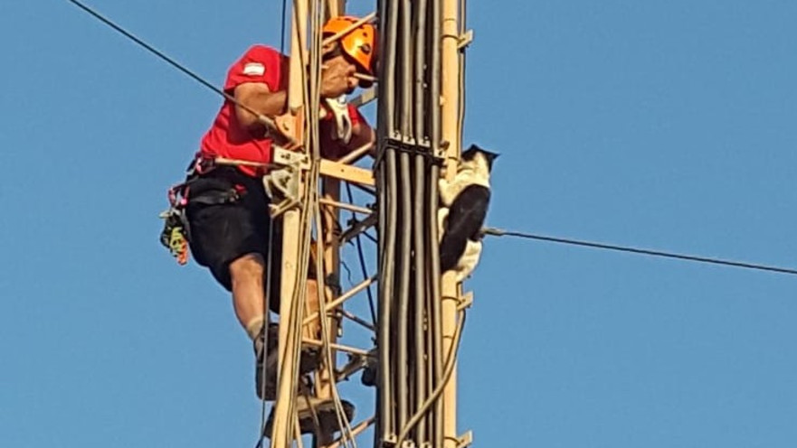 חילוץ חתולה בהר יהל