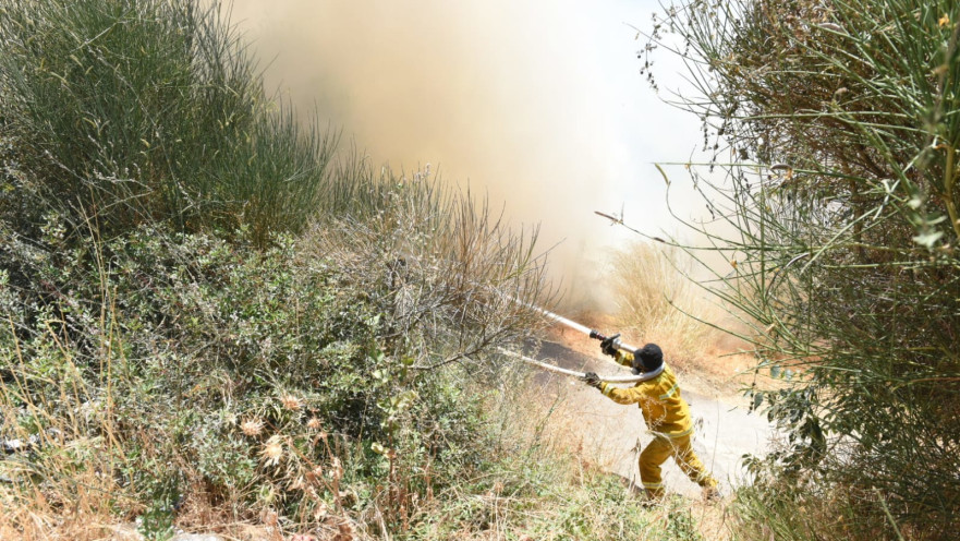 השריפה ליד ירושלים