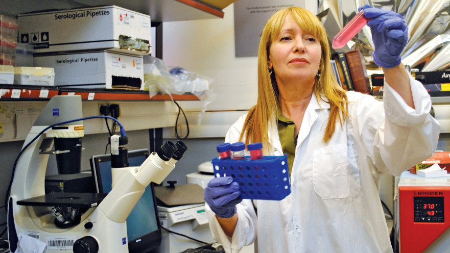 פרופ' חיננית קולטאי