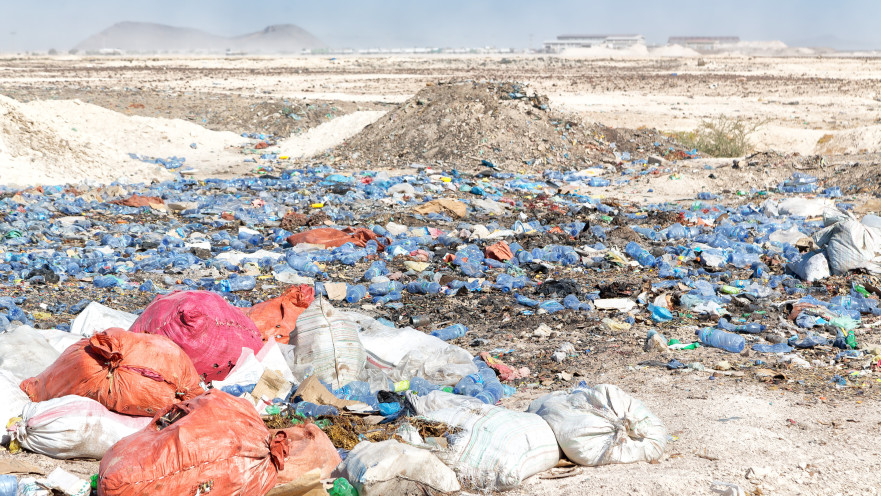 חדשות ירוקות
